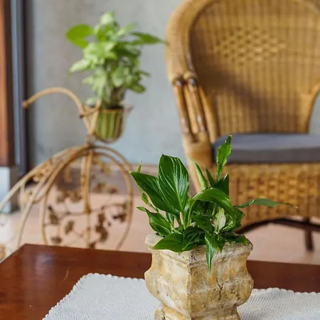 Timeless In With Terrace